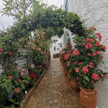 βig βlue Makrýgialos