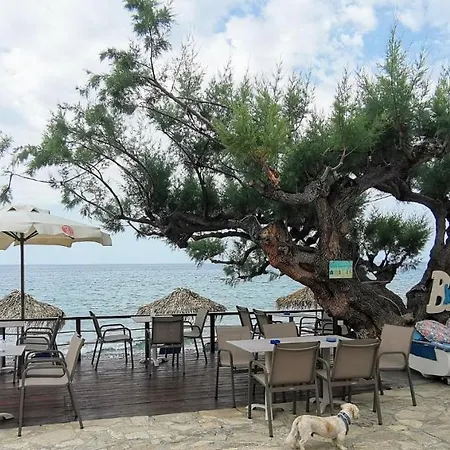 Big Blue Bar & Apartment Makrýgialos