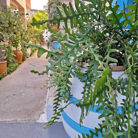 Big Blue Bar & Apartment Makrýgialos
